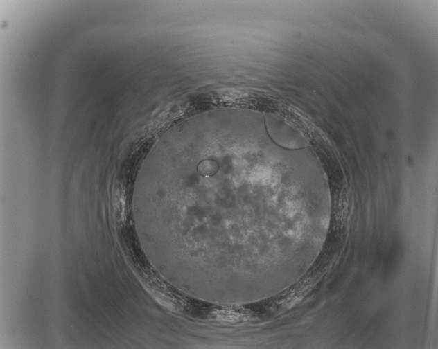 X0000087420703200704271737