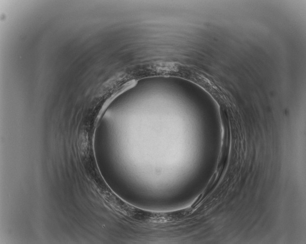 X0000087420704200704271737