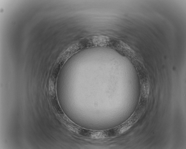 X0000087420705200704271737