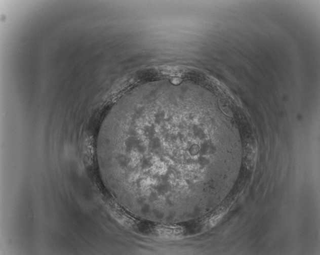 X0000087420707200704271737