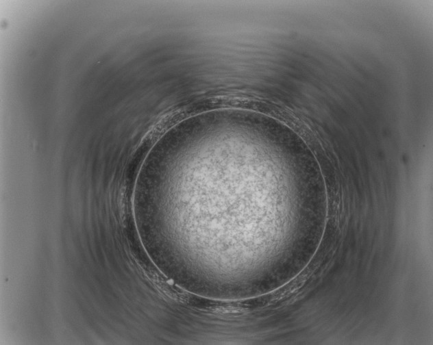 X0000087420708200704271737