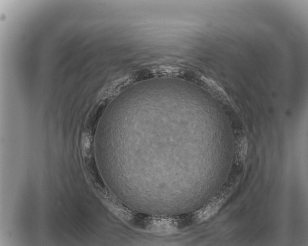 X0000087420709200704271737