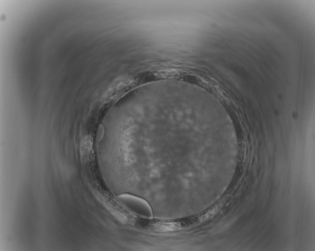 X0000087420711200704271737