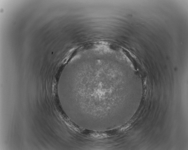 X0000087420712200704271737