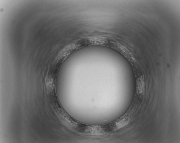 X0000087420713200704271737