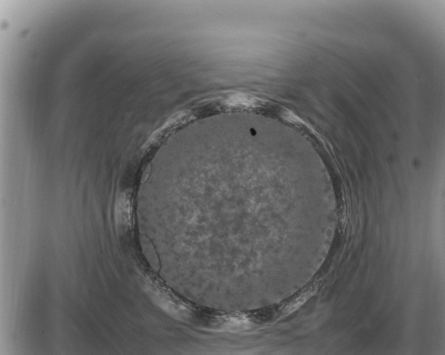 X0000087420715200704271737