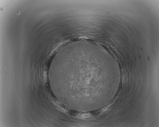 X0000087420716200704271737