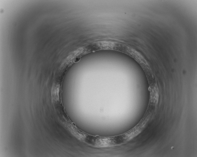 X0000087420717200704271737