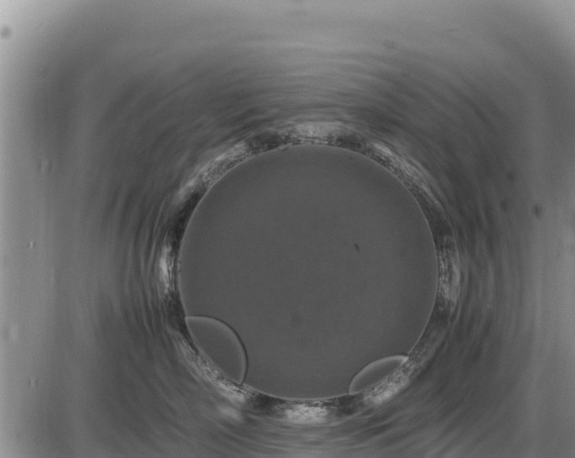 X0000087420718200704271737