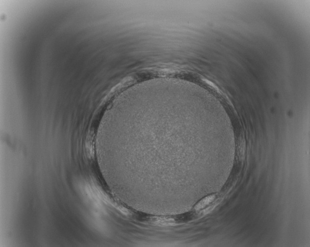 X0000087420719200704271737