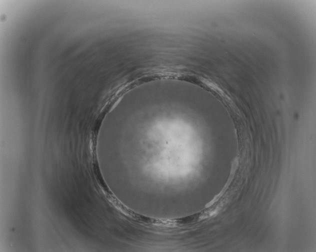 X0000087420720200704271737