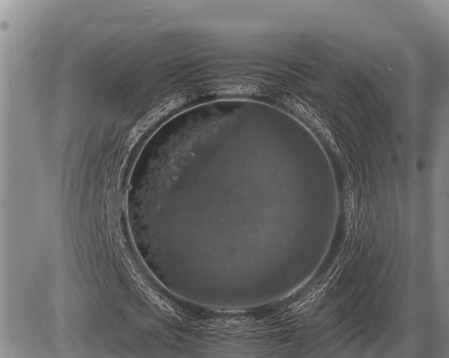 X0000087420721200704271736