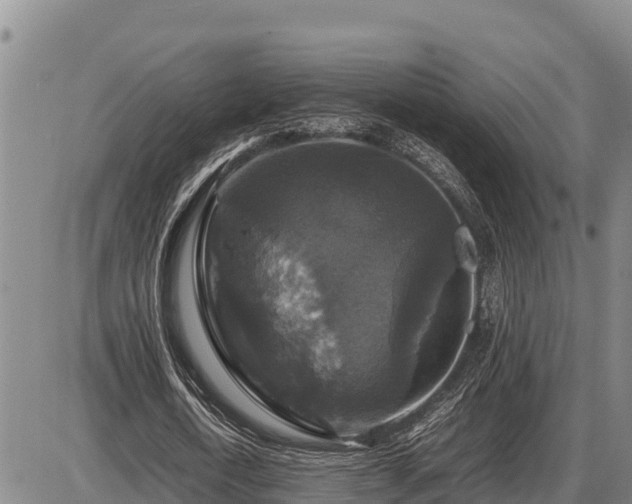 X0000087420722200704271736