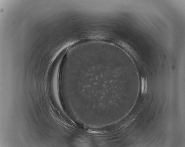 X0000087420723200704271736