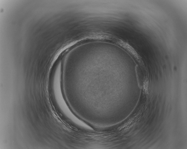 X0000087420724200704271736