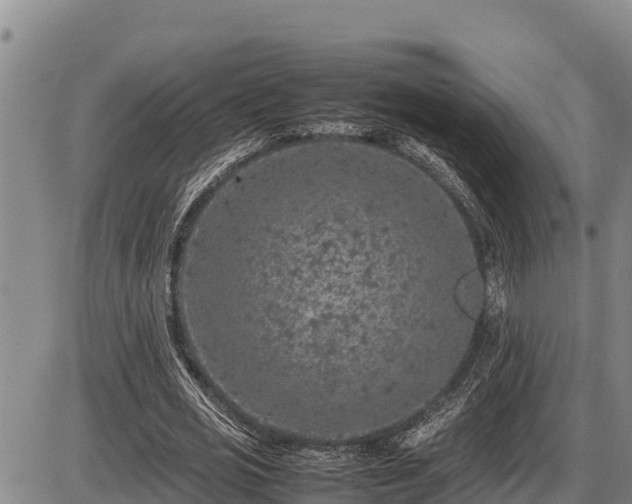 X0000087420725200704271736