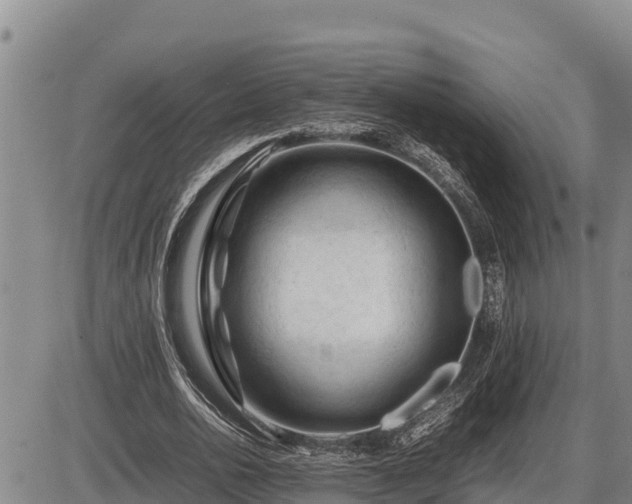 X0000087420726200704271736