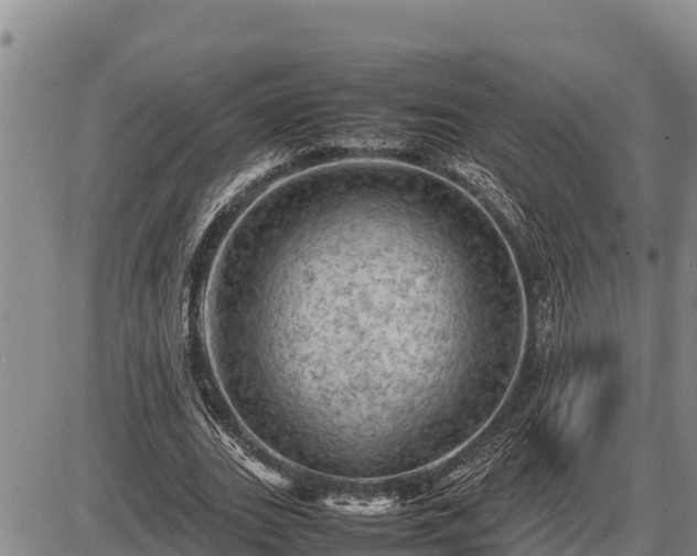 X0000087420727200704271736