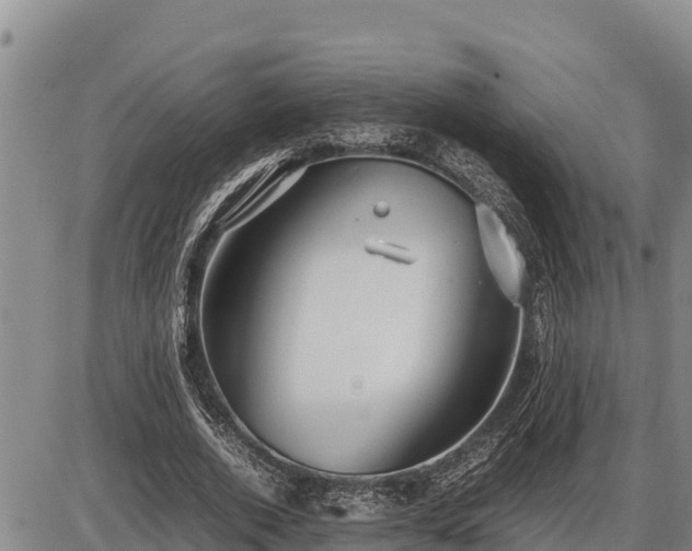 X0000087420728200704271736