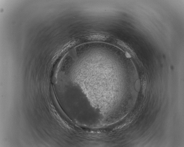 X0000087420729200704271736