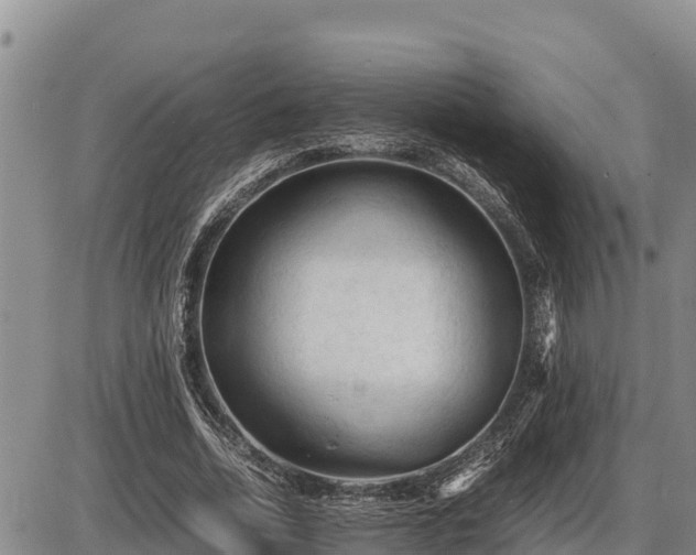 X0000087420730200704271736