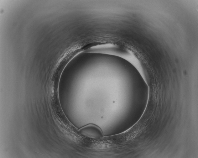 X0000087420731200704271736