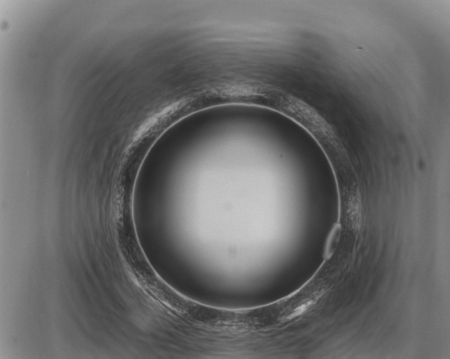 X0000087420732200704271736