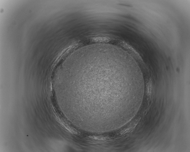 X0000087420733200704271736