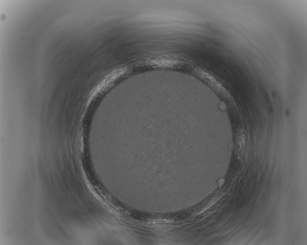 X0000087420734200704271736