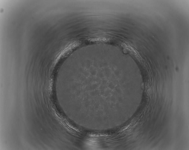 X0000087420735200704271736