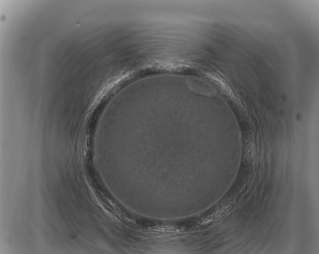 X0000087420736200704271736