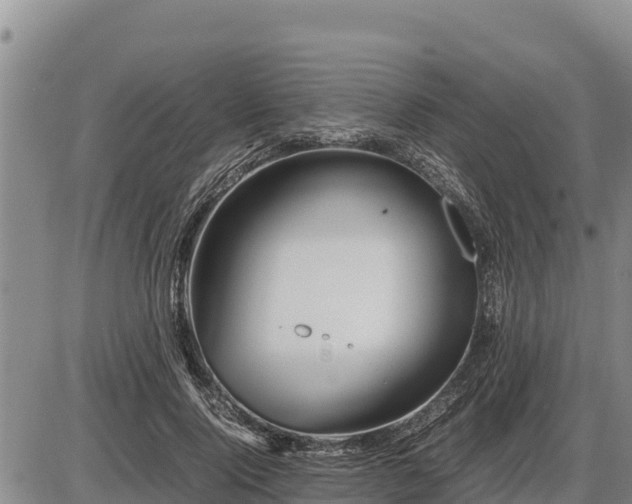 X0000087420740200704271736