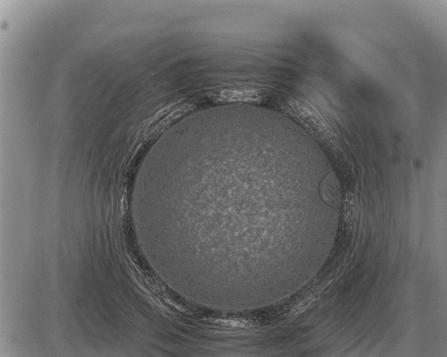 X0000087420741200704271737