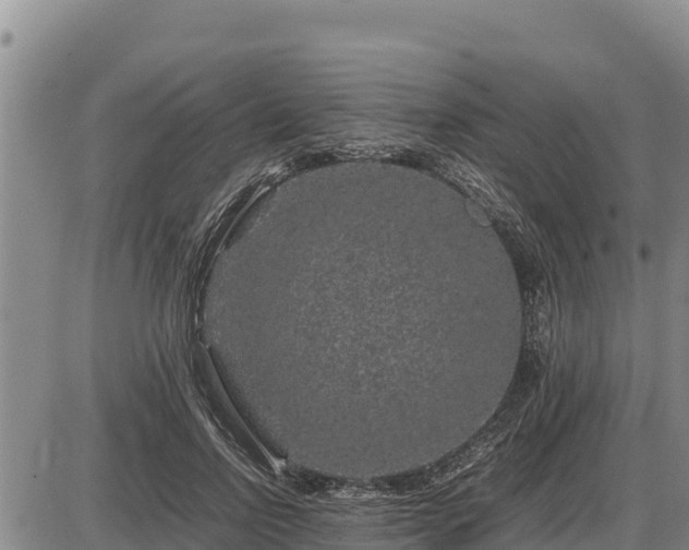 X0000087420742200704271737