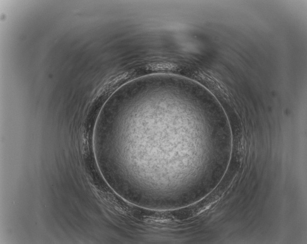 X0000087420743200704271737