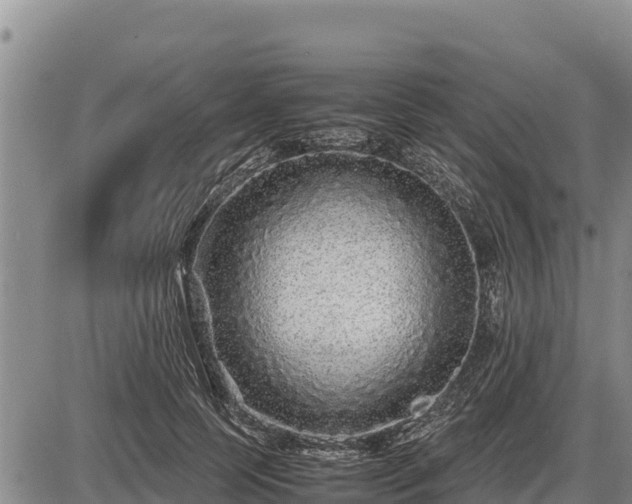 X0000087420745200704271737