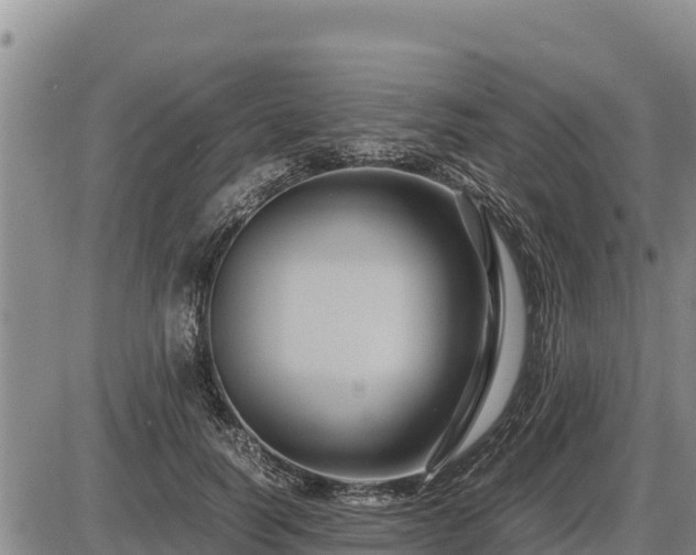 X0000087420746200704271737