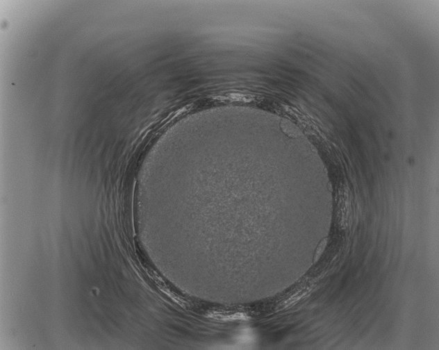 X0000087420747200704271737