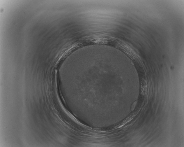 X0000087420748200704271737