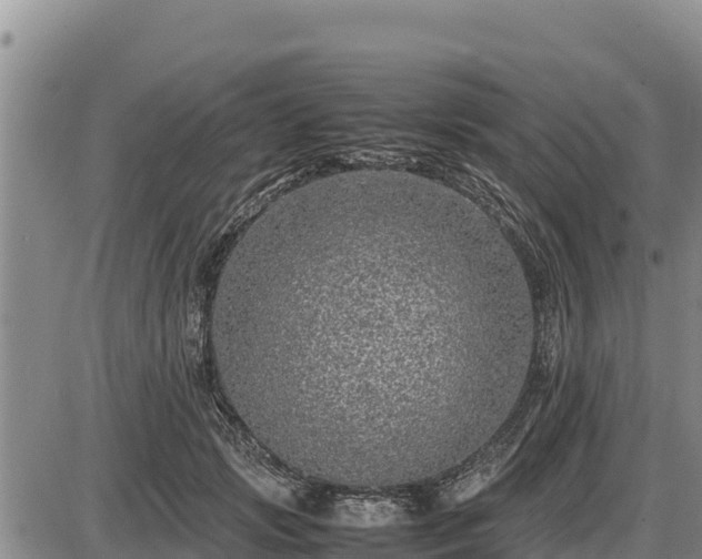 X0000087420749200704271737