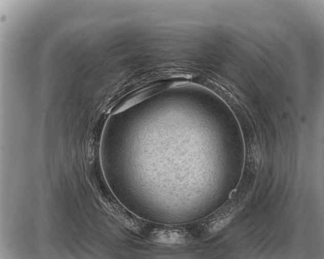 X0000087420751200704271737