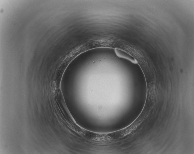 X0000087420752200704271737