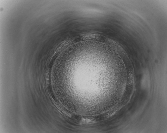 X0000087420753200704271737