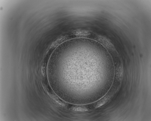 X0000087420755200704271737