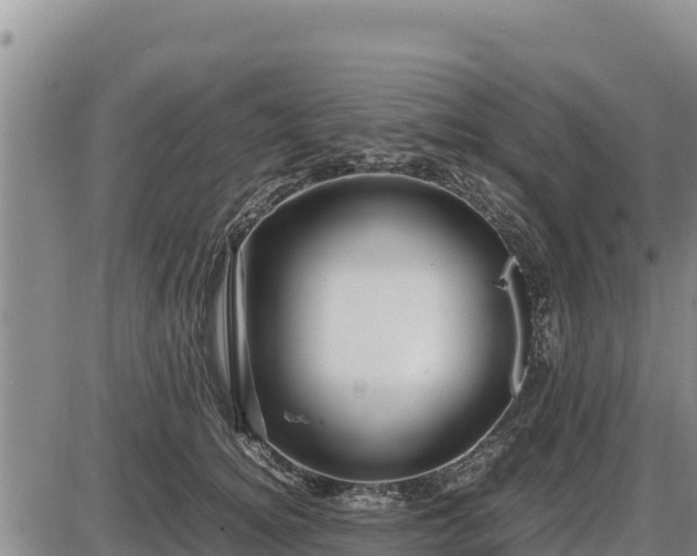 X0000087420756200704271737