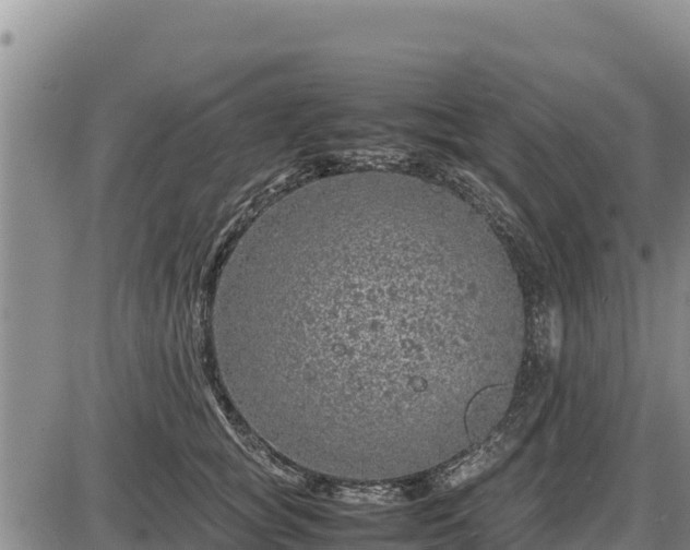 X0000087420757200704271737