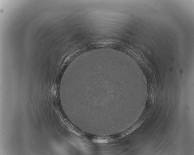 X0000087420758200704271737