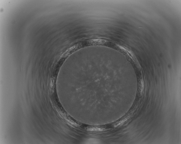 X0000087420759200704271737