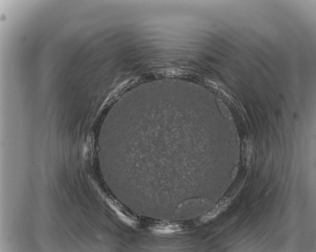 X0000087420760200704271737