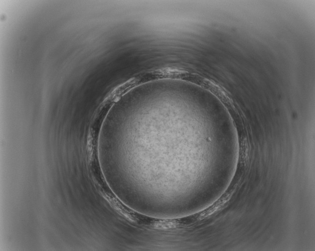 X0000087420762200704271737